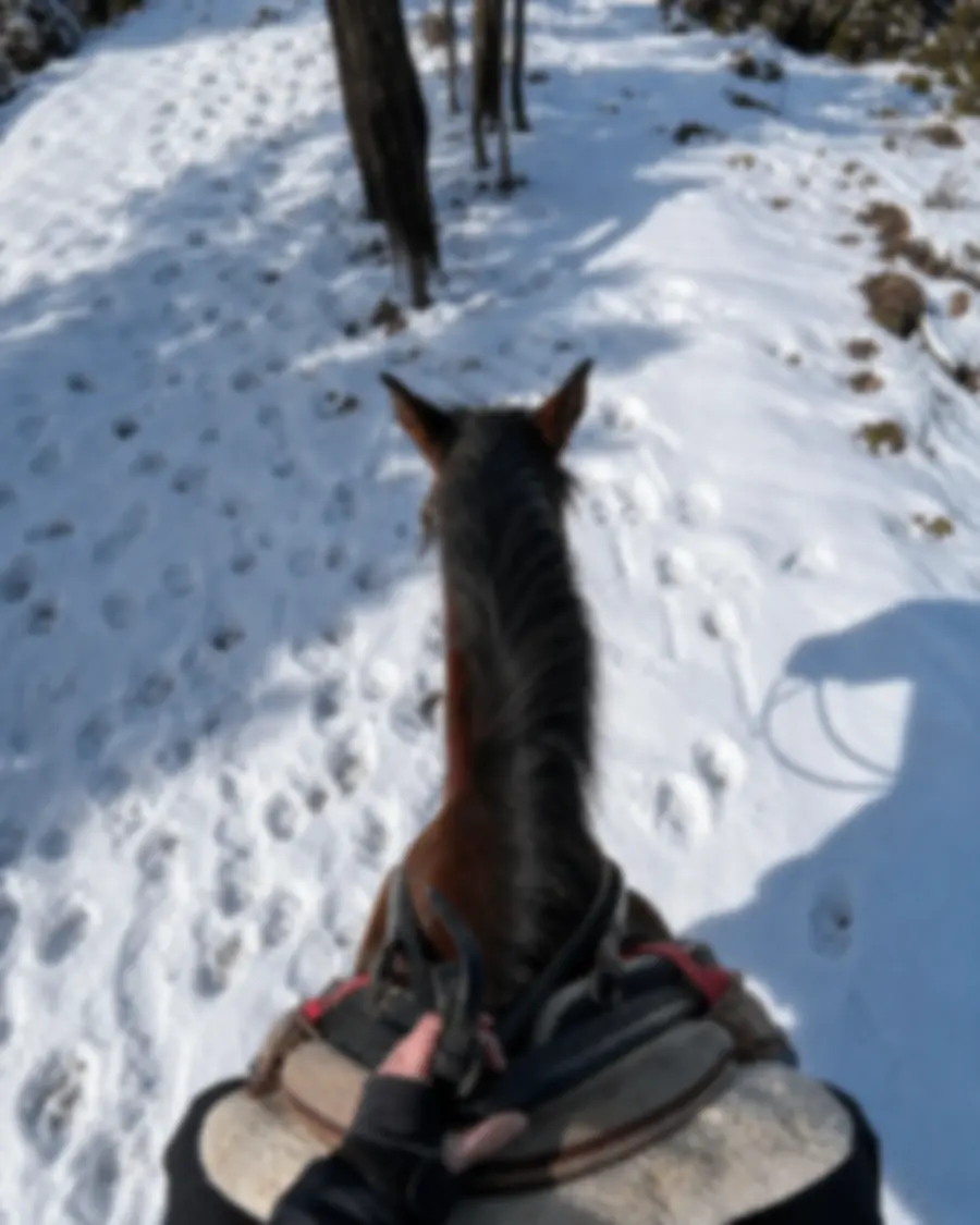 Ruta a caballo sobre nieve en la Sierra de Gredos