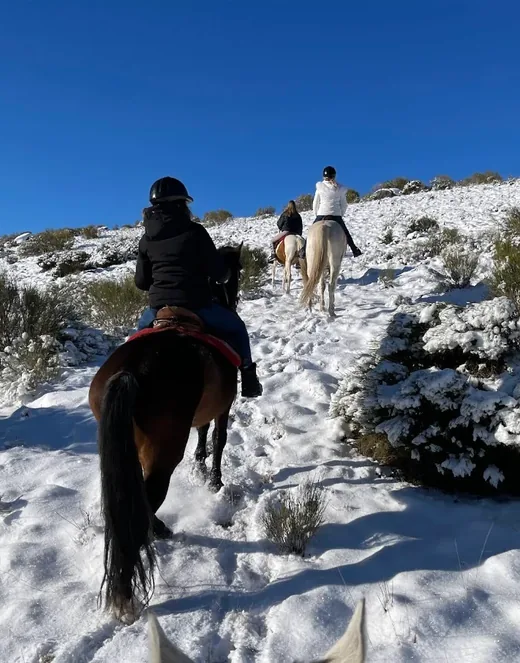 Jinetes subiendo una ladera nevada en una ruta a caballo