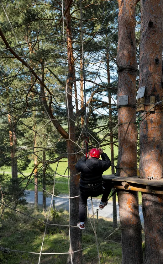 Persona con casco rojo en un circuito de cuerdas entre pinos