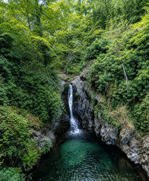 Cascada y poza natural rodeadas de vegetación en El Arenal